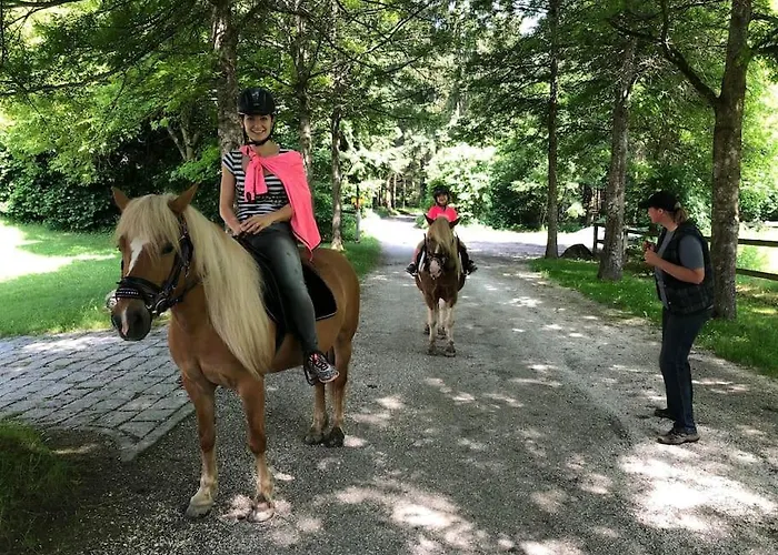 Weinapartment St. Urban Apartament *