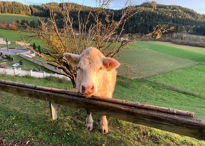 Apartament Weinapartment St. Urban